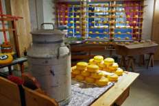 СМИ анонсировали возвращение импортного сыра в Россию