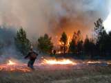 Действия во время пожара на природе