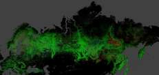 С начала 21 века Россия потеряла много леса